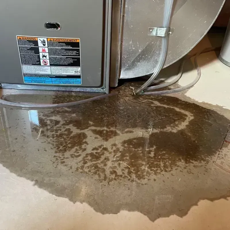 Appliance Leak Cleanup in Florence, WI